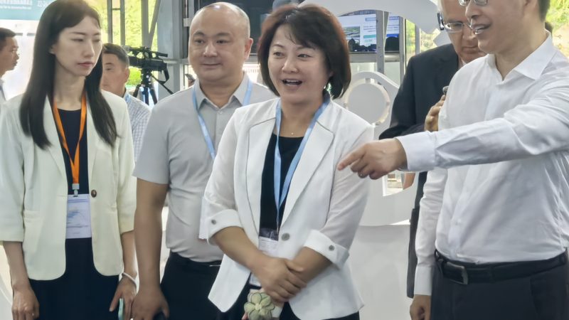 汽车配件批发品牌对比